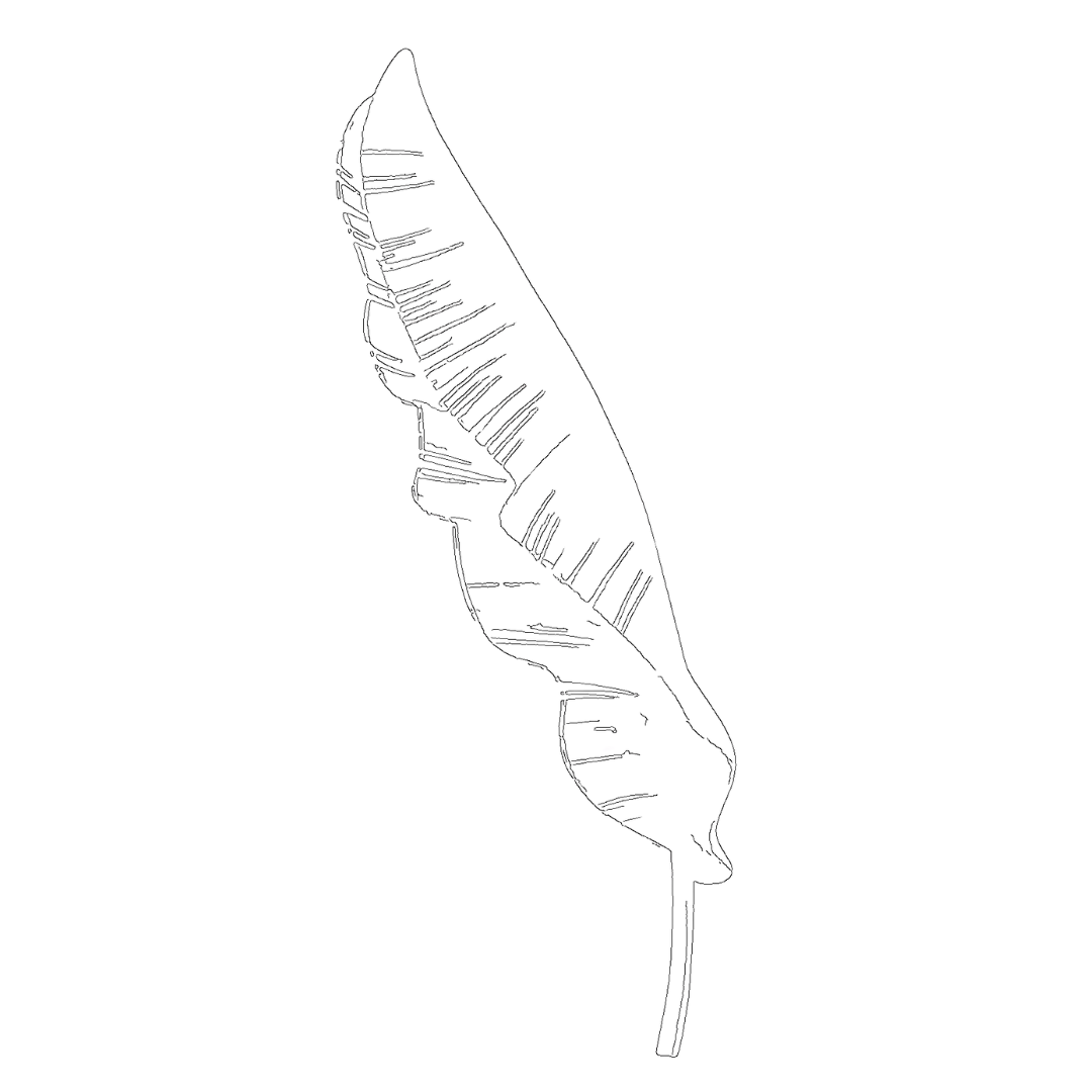 Untitled design (4)